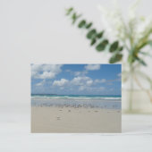 Kogelstrand met zeegarren briefkaart (Staand voorkant)