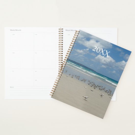 Kogelstrand met zeegarren planner (Display)