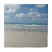 Kogelstrand met zeegarren tegeltje (Voorkant)