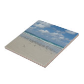 Kogelstrand met zeegarren tegeltje (Zijkant)