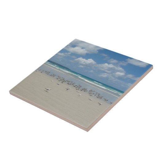 Kogelstrand met zeegarren tegeltje (Zijkant)