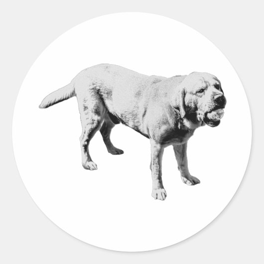 kogeltang ronde sticker (Voorkant)