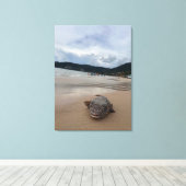 Kogelvis op het strand bij Phuket fotografie Canvas Afdruk (Insitu (Houten vloer))