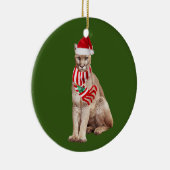 Kogelwagen met Pet kerst Keramisch Ornament (Rechts)