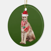 Kogelwagen met Pet kerst Keramisch Ornament (Links)