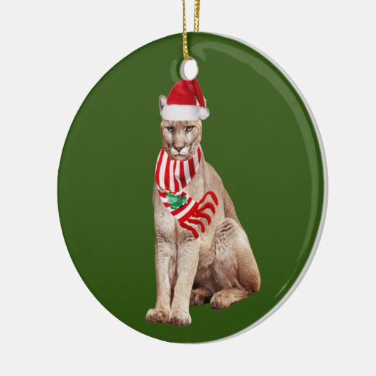 Kogelwagen met Pet kerst Keramisch Ornament (Links)