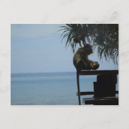 Koh Lanta Briefkaart