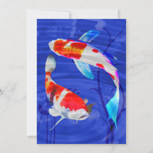 Kohaku Duo in de Deep Blue Pond Kaart