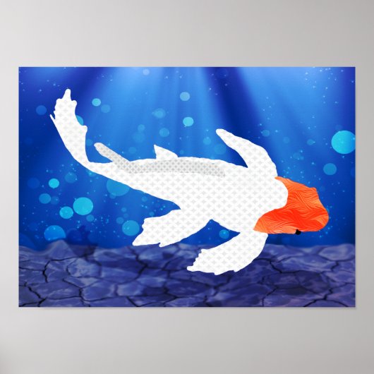 Kohaku Koi 03 Poster (Voorkant)