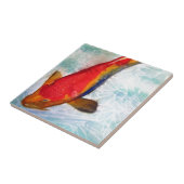 Kohaku Koi Japanse vis waterverf kunst Tegeltje (Zijkant)
