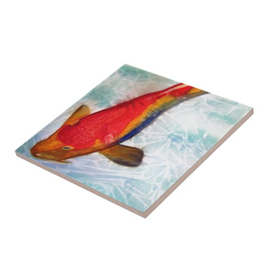 Kohaku Koi Japanse vis waterverf kunst Tegeltje (Zijkant)