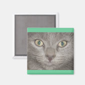 Kohl Gray Kat Face Magneet (Voorkant / Achterkant)