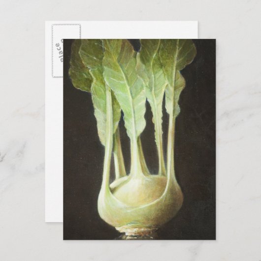 Kohl Rabi 2012 Briefkaart (Voorkant / Achterkant)