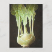 Kohl Rabi 2012 Briefkaart (Voorkant)