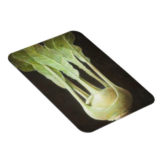 Kohl Rabi 2012 Magneet (Rechterzijde)