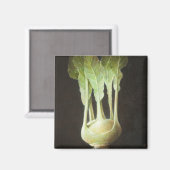 Kohl Rabi 2012 Magneet (Voorkant / Achterkant)