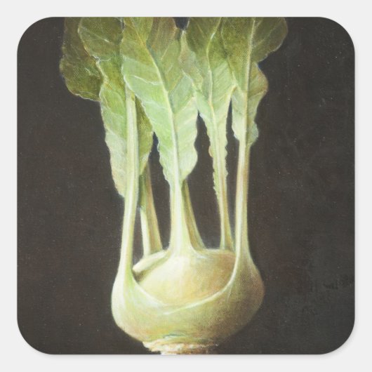Kohl Rabi 2012 Vierkante Sticker (Voorkant)
