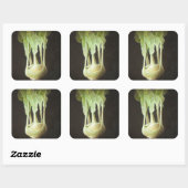 Kohl Rabi 2012 Vierkante Sticker (Vel)