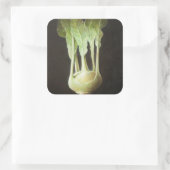 Kohl Rabi 2012 Vierkante Sticker (Tas)