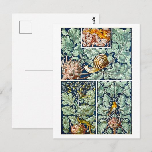 Kohlrabi als Decoratief Object Briefkaart (Voorkant / Achterkant)