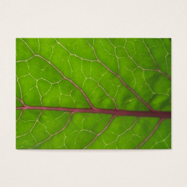 Kohlrabi Leaf ~ ATC Visitekaartjes (Voorkant)