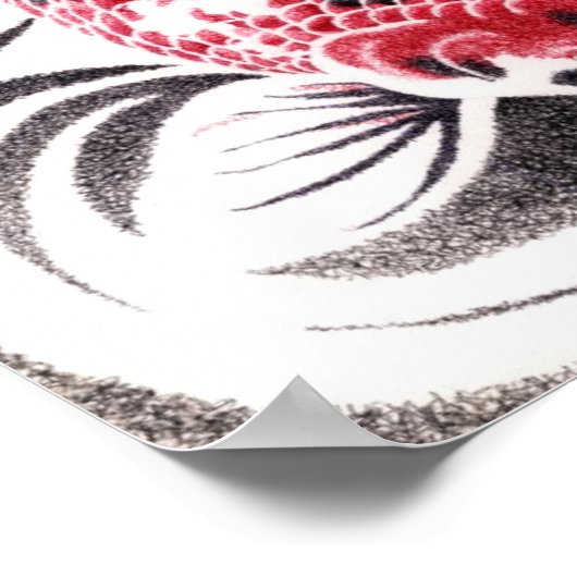 koi02poster11by16 poster (Hoek)