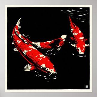 Koi - Archief Kunstprint Poster