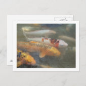 Koi Briefkaart (Voorkant / Achterkant)