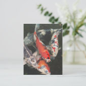 Koi Briefkaart (Staand voorkant)