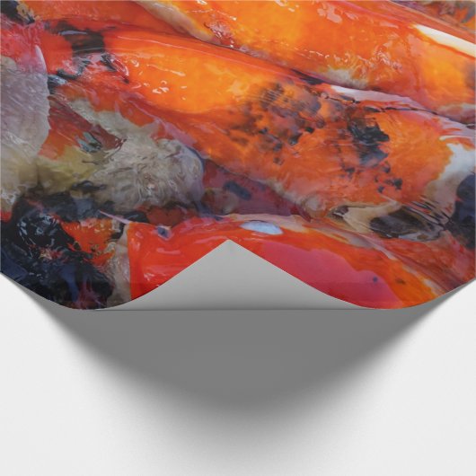 Koi Cadeaupapier (Hoek)