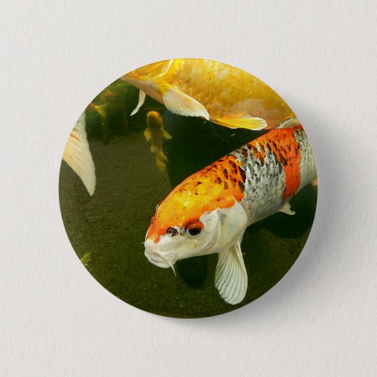Koi Carp Badge Ronde Button 5,7 Cm (Voorkant)