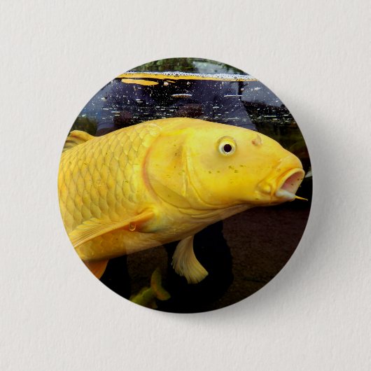 Koi Carp Badge Ronde Button 5,7 Cm (Voorkant)