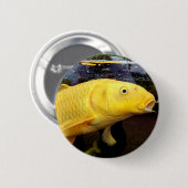 Koi Carp Badge Ronde Button 5,7 Cm (Voorkant /achterkant)