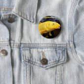 Koi Carp Badge Ronde Button 5,7 Cm (In situ)