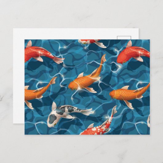 Koi Carp briefkaart (Voorkant / Achterkant)
