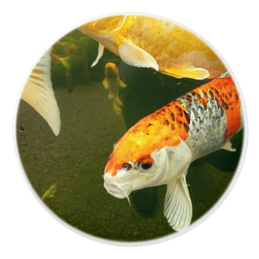 Koi Carp Ceramic Knob Keramische Knop (Voorkant)