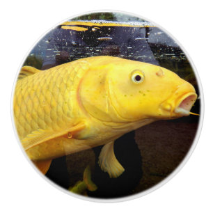 Koi Carp Ceramic Knob Keramische Knop