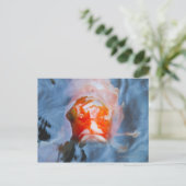 Koi Carp (Cyprinus carpio), Japan Briefkaart (Staand voorkant)