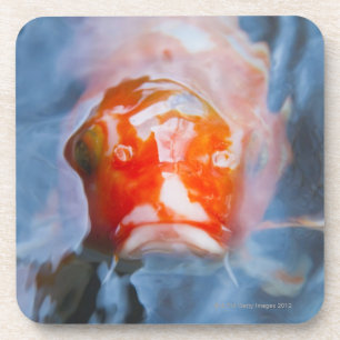 Koi Carp (Cyprinus carpio), Japan Onderzetter