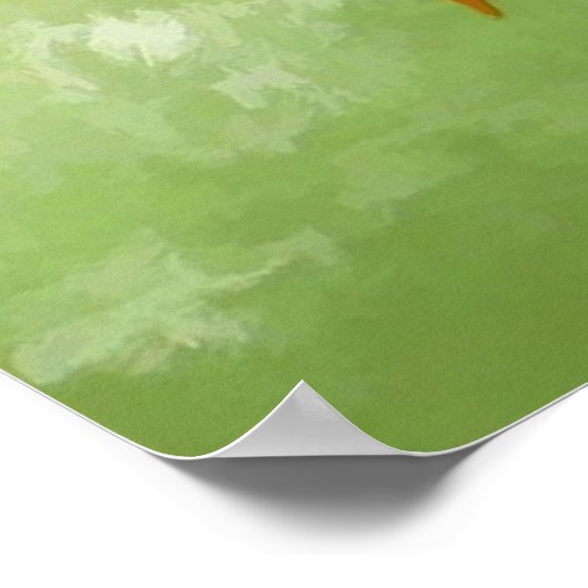 Koi Carp Fish Poster (Hoek)