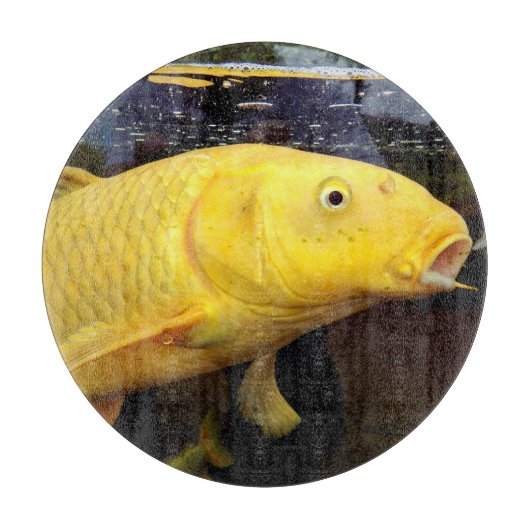 Koi Carp Glass Choping Board Snijplank (Voorkant)