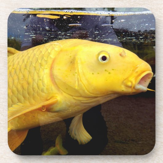 Koi Carp Hard Plastic Onderzetter (Voorkant)