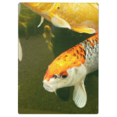 Koi Carp Klembord (Achterkant)