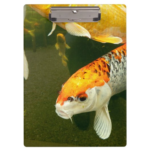 Koi Carp Klembord (Voorkant)