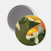 Koi Carp Magnet (Voorkant / Achterkant)