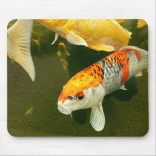 Koi Carp Mouse Mat Muismat