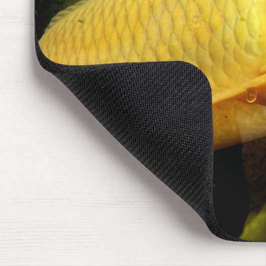 Koi Carp Mouse Mat Muismat (Hoek)