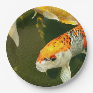 Koi Carp Paper Bord