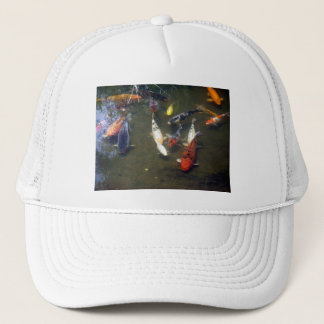 Koi Carp Pet