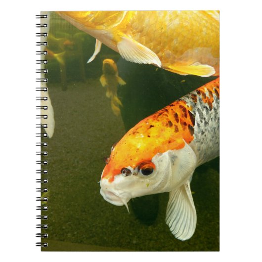 Koi Carp Photo Notitieboek (Voorkant)